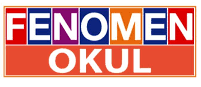 Fenomen Okul Yayınları