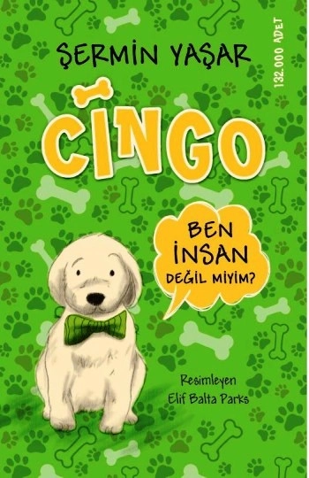 Cingo%20-%20Sc