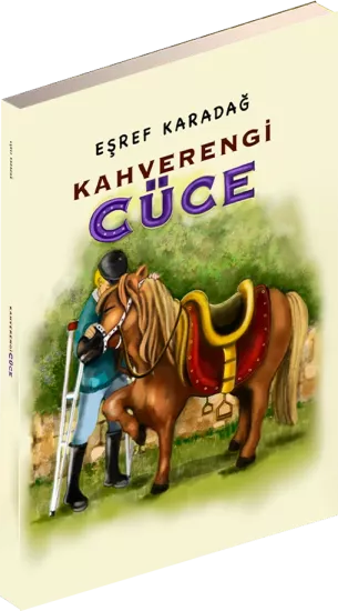 Seyhan Okuyor 3. Sınıf Okuma Kitapları